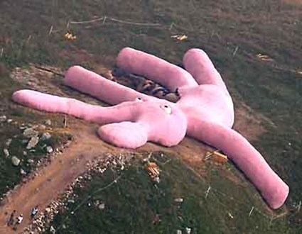 gigantski rozov zaek Cveti Pletivo 5