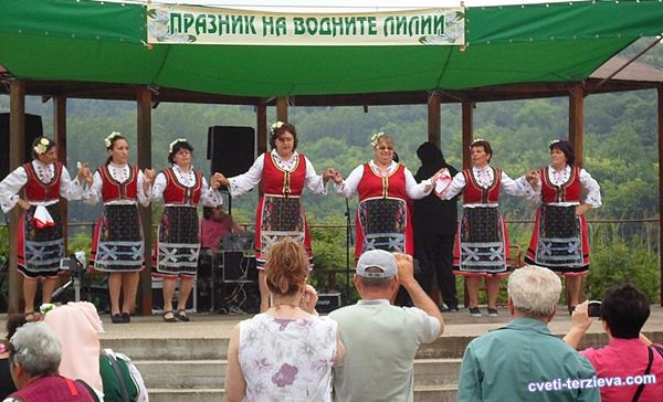 vodni lilii 7