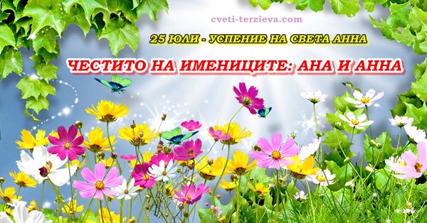 25 07 Ana