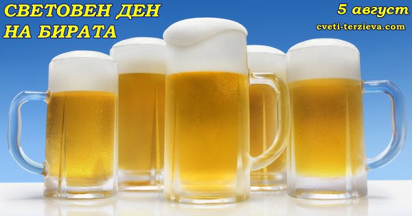 5 08 bira