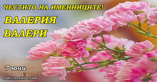 7 06 Valeriq
