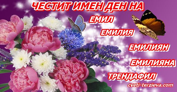 8 08 Emiliqn
