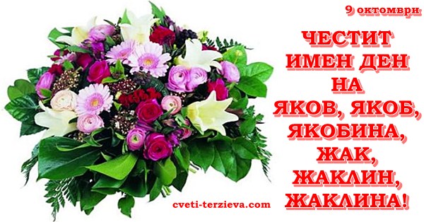 9 10 Qkob
