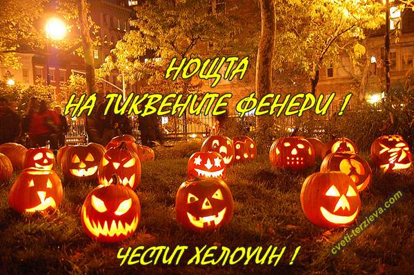 31 10 heloyin cveti terzieva