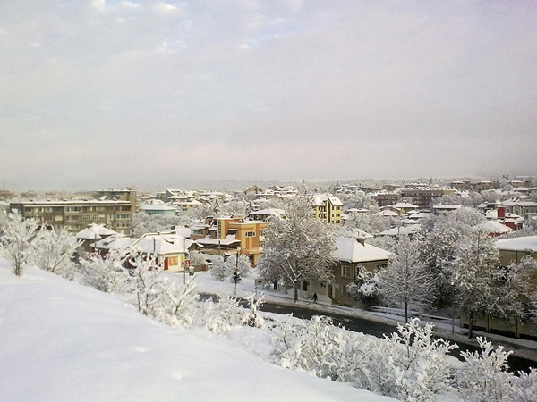 Sveti Nikolai 11 Zima Cveti Pletivo