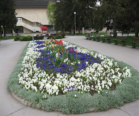 1.05 Ieremievden Narodna meteorologiq Cveti Pletivo