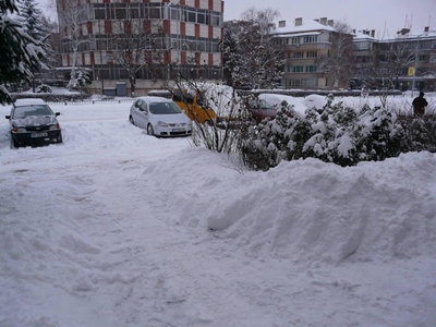 23 dekemvri Ignajden Cveti Pletivo