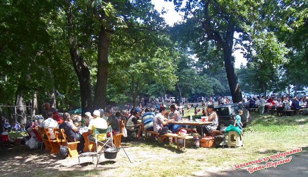 sborqnovo Cveti Terzieva 2