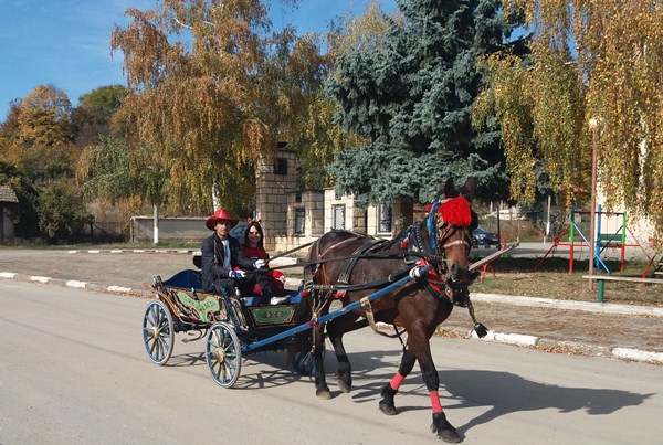 2022 balkanski 7