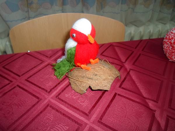 10 2 18 gradina 4