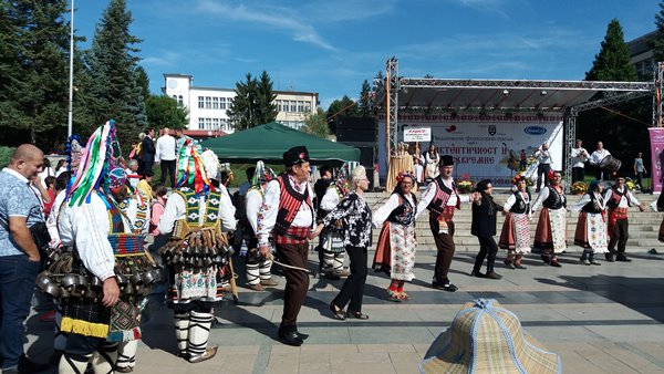 Цвети Терзиева