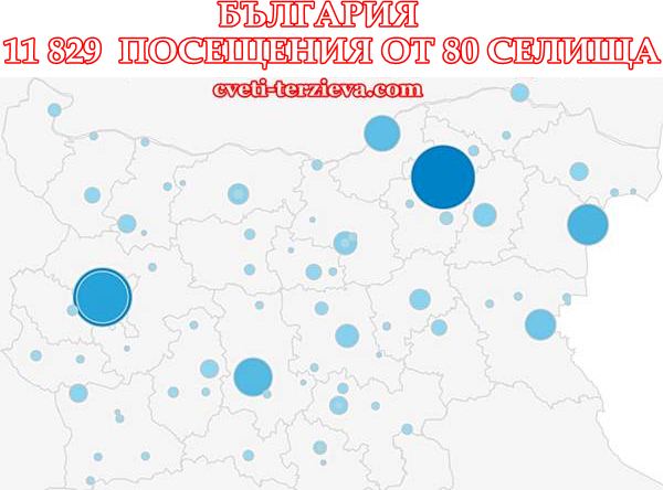 statistika sait cveti 2014 7
